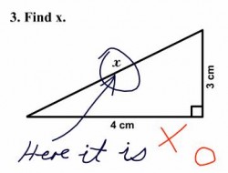 FindX