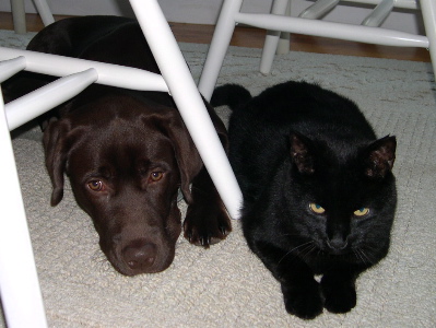 Mousse and Max